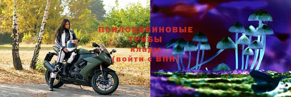 спиды Абаза