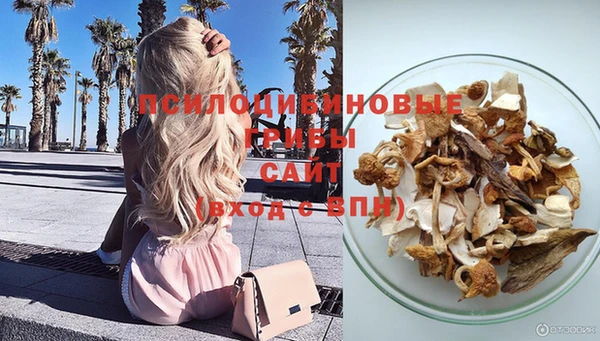 спиды Абаза